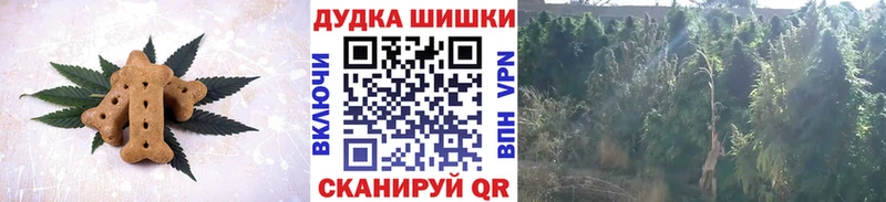 Купить где  Пошехонье  Cannafood конопля 