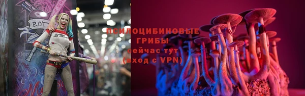 бошки Волоколамск