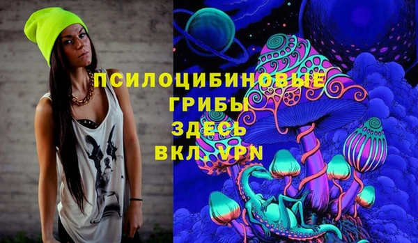 соль ск Волосово